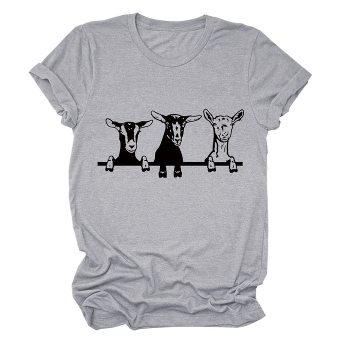 Light gray (black font) / S