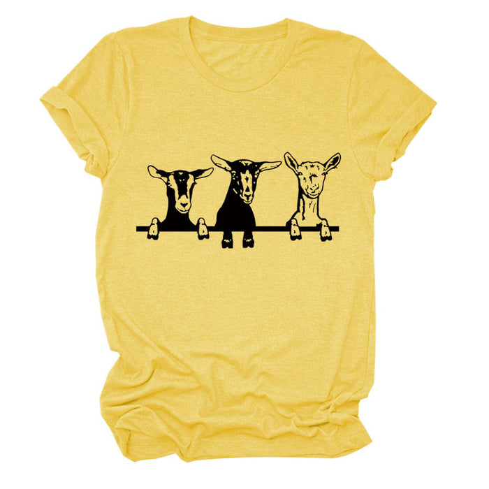 Yellow (black font) / S