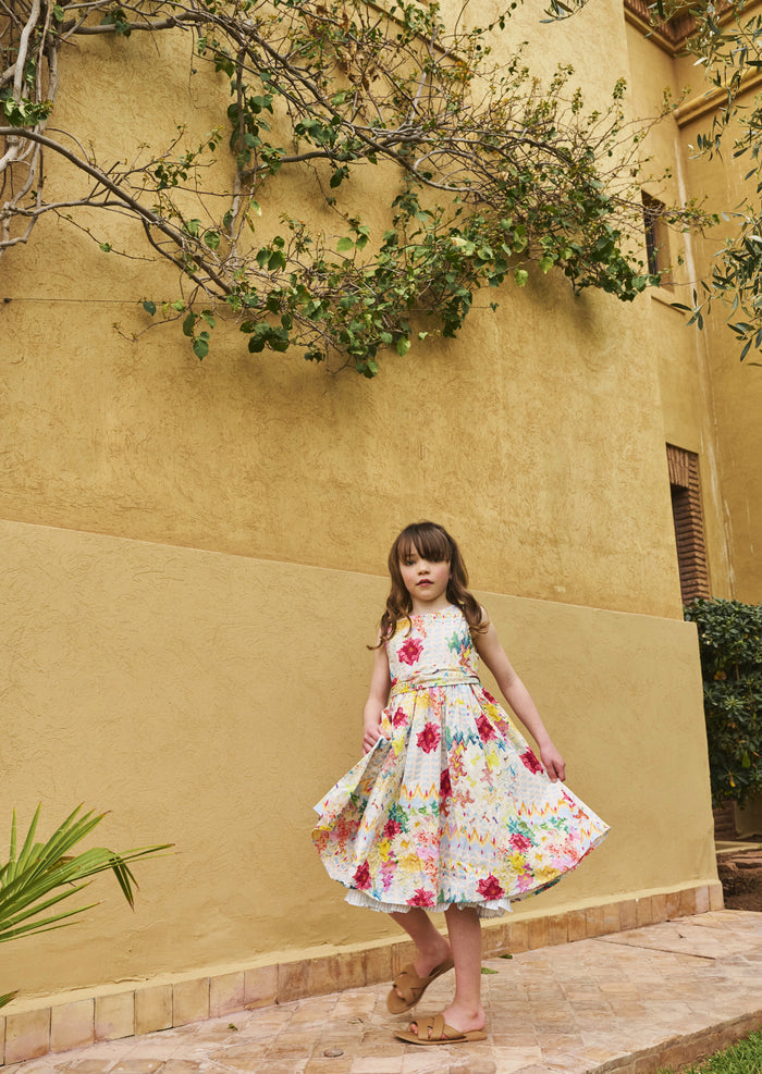 Seren Print Stripe Sash Waist Dress