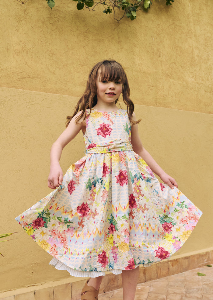 Seren Print Stripe Sash Waist Dress