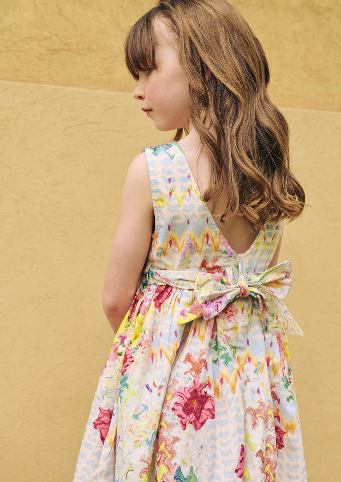 Seren Print Stripe Sash Waist Dress