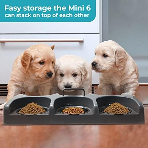 Six Bowl Puppy Kitten Feeder Station Dog Bowls & Feeders Pet Clever