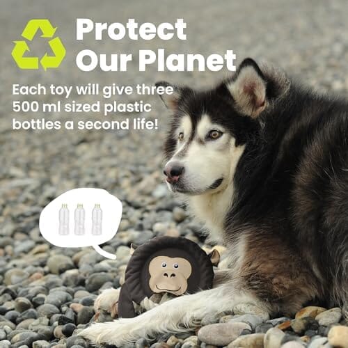 Sleepy Sloth Indestructible Dog Toys Squeaky Dog Toys Toys Pet Clever