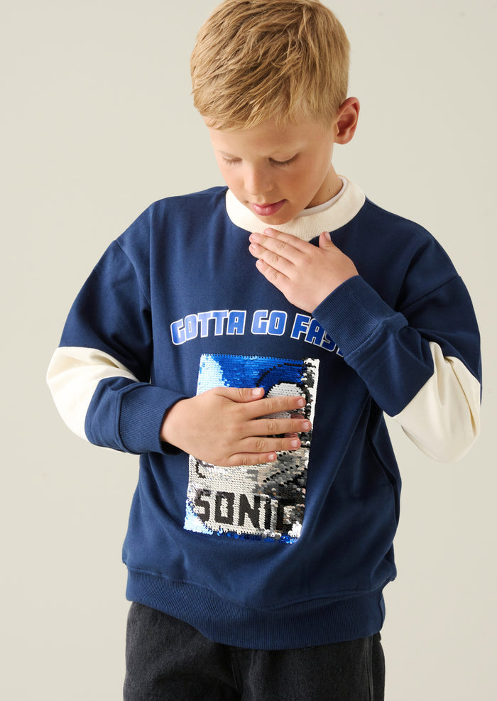 Sonic Sweatshirt