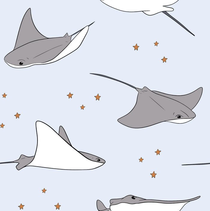 Illustrations of stingrays on a light blue background with small stars.
