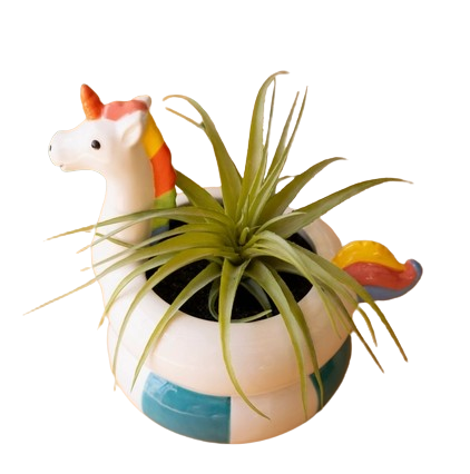 Swimming Vase