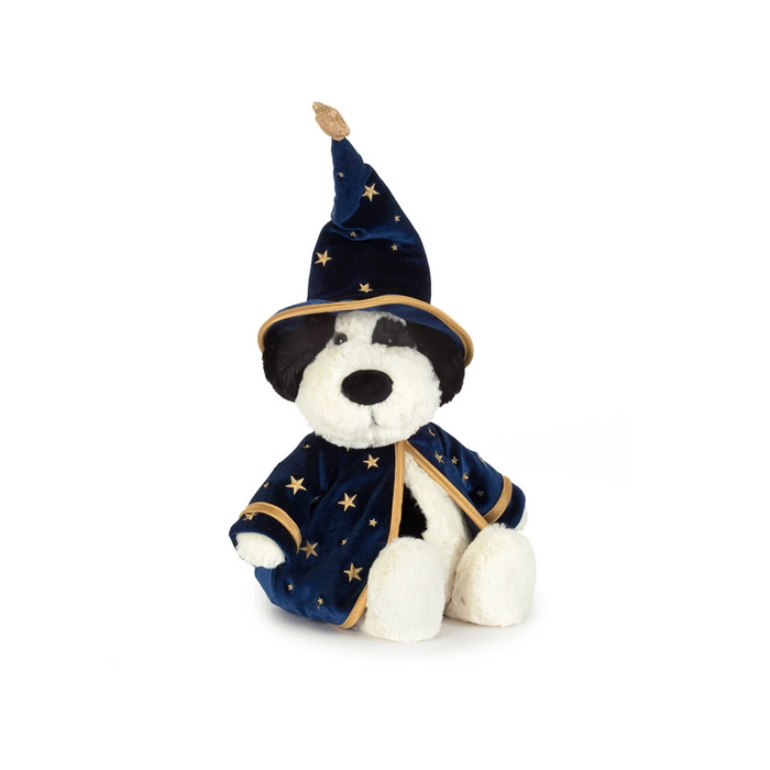 Teddy - Rufferty Puppy 'Wizard'