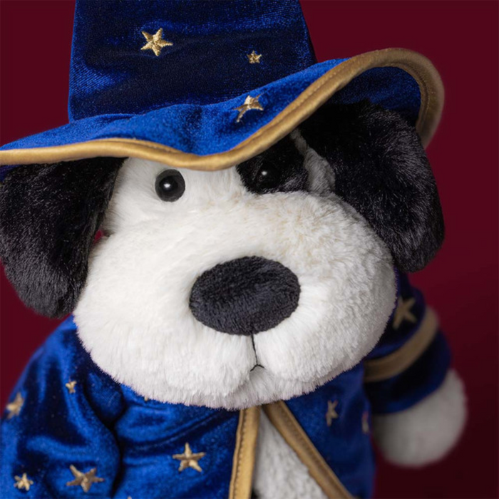 Teddy - Rufferty Puppy 'Wizard'