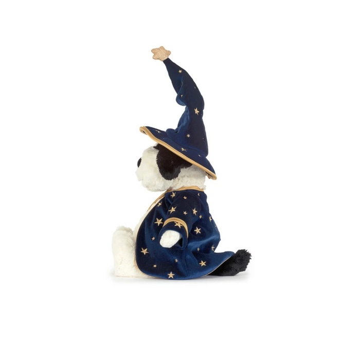 Teddy - Rufferty Puppy 'Wizard'