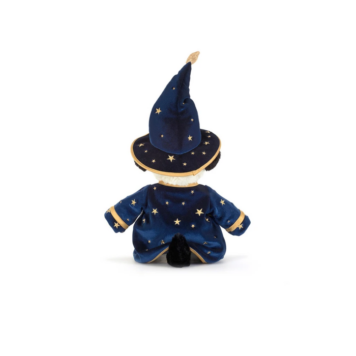 Teddy - Rufferty Puppy 'Wizard'