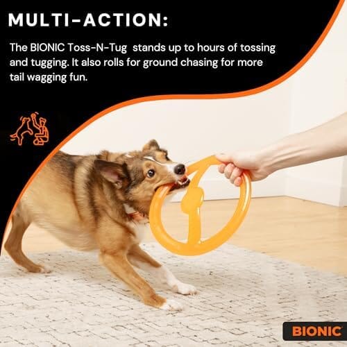 Toss-N-Tug Dog Toy - High-Visibility Ultimate Multi-Action Dog Toy Toys Pet Clever