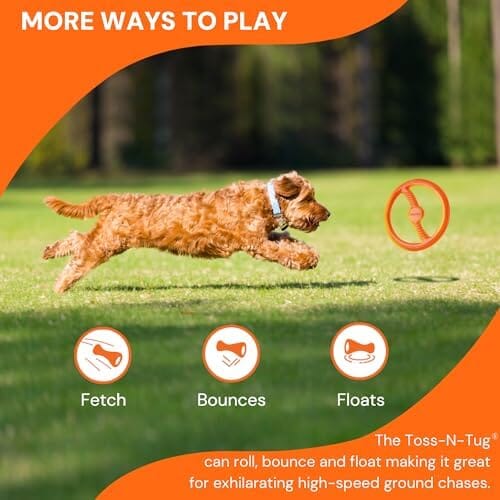 Toss-N-Tug Dog Toy - High-Visibility Ultimate Multi-Action Dog Toy Toys Pet Clever