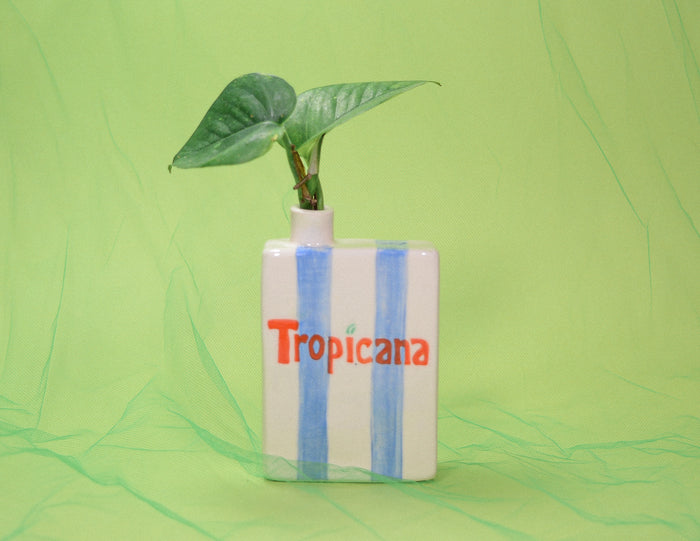 Tropicana Juice Box Vase