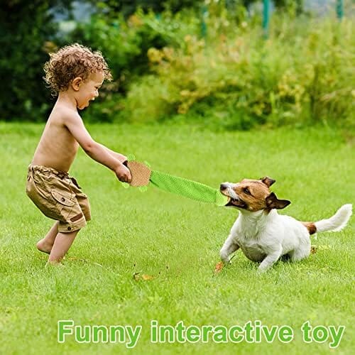 Turtle Dog Squeak Toys Dogs Enrichment Treat Dispensing Puzzle Toys Toys Pet Clever