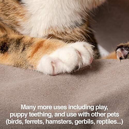 Unisex Multi-purpose Pet Glove Grooming Glove Cat Care & Grooming Pet Clever