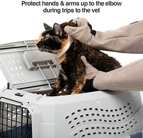 Unisex Multi-purpose Pet Glove Grooming Glove Cat Care & Grooming Pet Clever