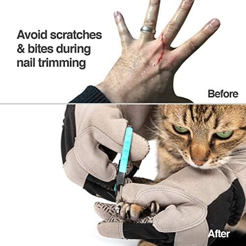 Unisex Multi-purpose Pet Glove Grooming Glove Cat Care & Grooming Pet Clever