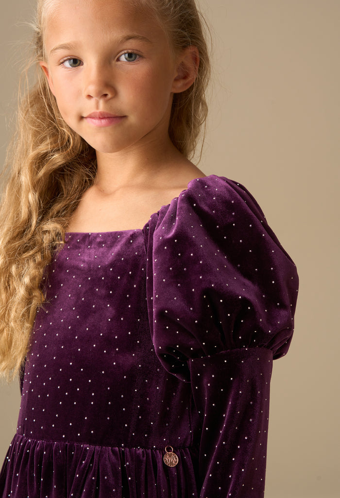 Violet Velvet Dress