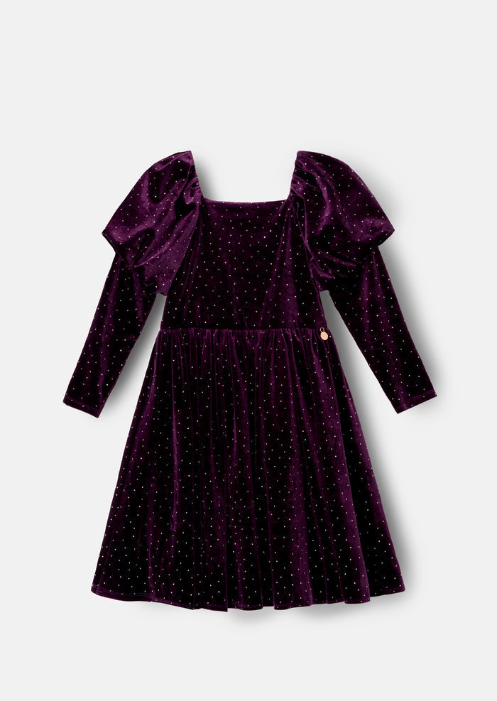 Violet Velvet Dress