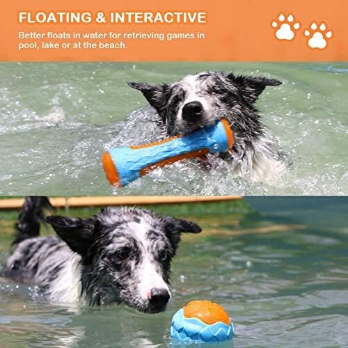 Wheel Floating Toys for Interactive Fetch & Play Toys Pet Clever