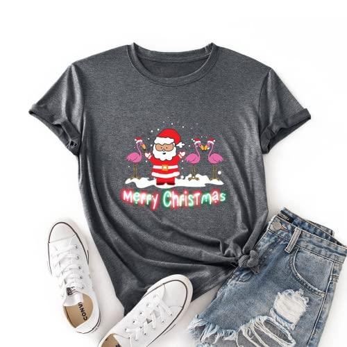 Women Merry Christmas Shirt Santa Flamingo T-Shirt