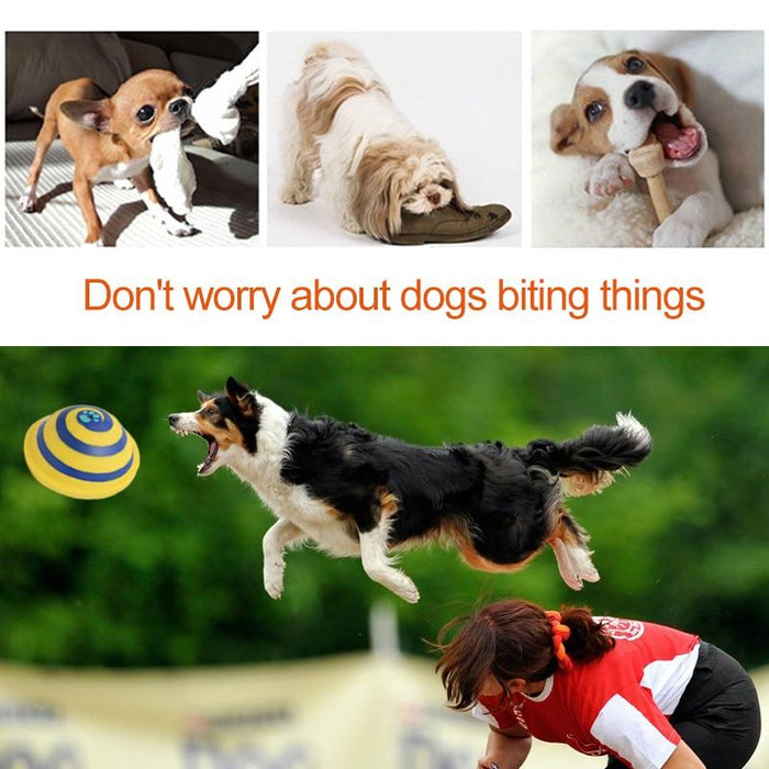 Woof Glider Dog Toy Toys Pet Clever