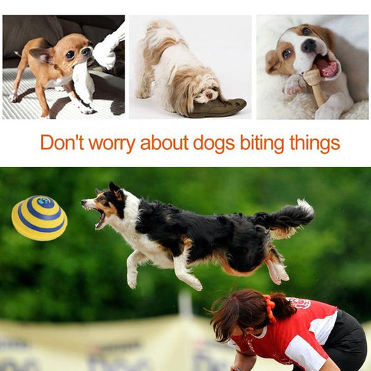 Woof Glider Dog Toy Toys Pet Clever
